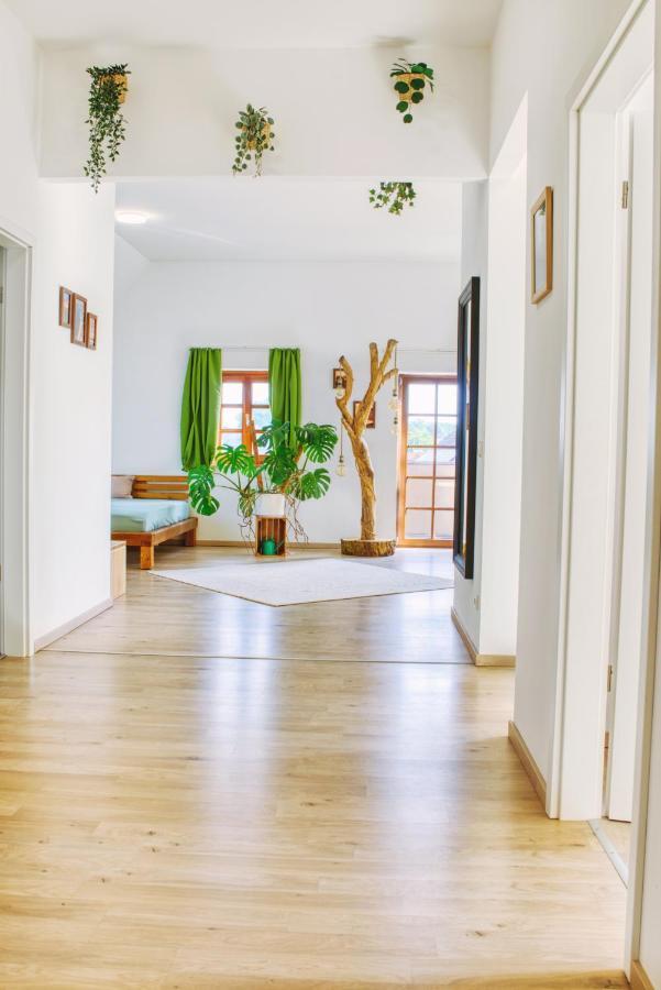 Luxus Apartment! Kueche, Balkon, Netflix, Parkplatz - 8 Personen Ilmmunster Buitenkant foto